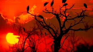 Amor Y Fe Lyrics English Translation