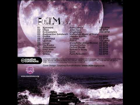 13 Wizax - Pure Acoustics