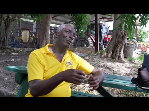 Tips to reduce the presence of bees at schools