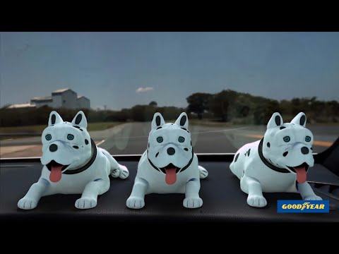 DogDoll Goodyear