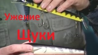 Диалоги о рыбалке рыбалка на щуку