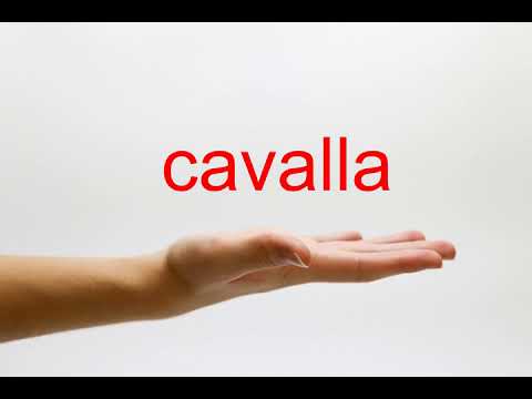 How to Pronounce cavalla - American English
