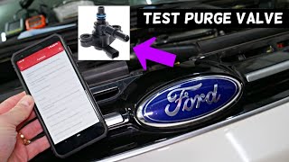 HOW TO TEST PURGE CONTROL VALVE ON FORD FOCUS FIESTA ESCAPE EDGE F150 FUSION EDGE F-150 TRANSIT