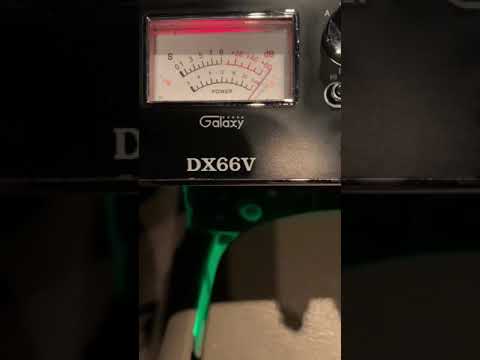 Dirty bird talk show