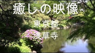 癒しの映像 ：東京都　浅草寺  Relaxation movies : Sensoji Temple, Tokyo