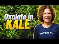 Is Kale High In Oxalate