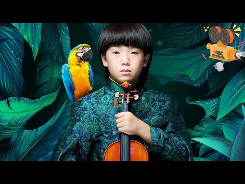 《天佑之爱》Blessed Love 音乐异能男孩思母心切 某天听闻鹦鹉的话踏上未知之旅【FULL】