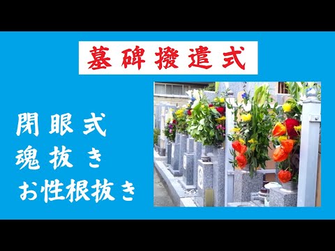 仏教学科 和歌山 遍照寺 墓碑撥遣式 (閉眼式) サンプル動画