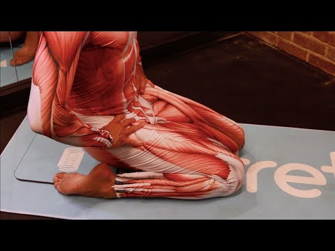 Tibialis Anterior, LOWER LEG Stretch for Advanced kneeling – iStretch