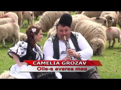 @CameliaGrozav  - Oile-s averea mea