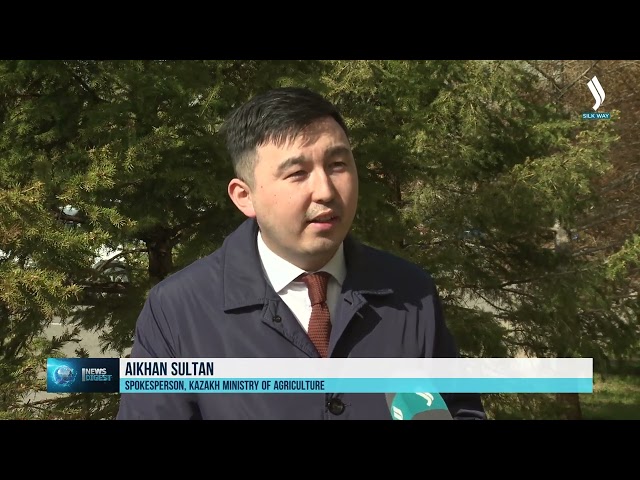 Қозоғистон бўйлаб экин экиш ишлари бошланади