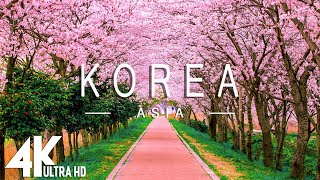 FLYING OVER KOREA (4K UHD) - Relaxing Music Along 