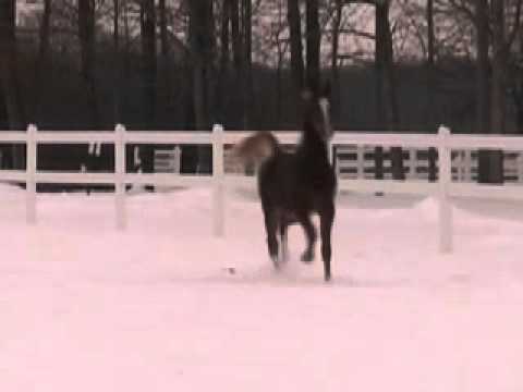 Millennium's Masterpiece