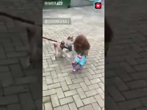 15 сентября 2021 г.