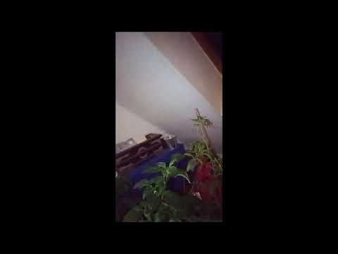 Yassir Arafat Part One in Bonn Live 07 02 2020 First Videos Contact