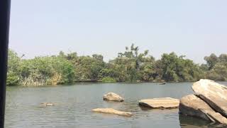 preview picture of video 'Ranganathittu Bird Sanctuary'