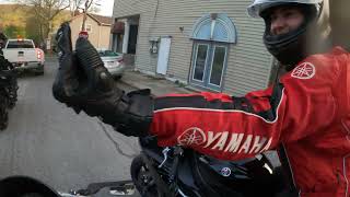 P11 Touching Mustard☠️