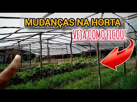 ATUALIZAÇÃO DA HORTA: PRODUÇÃO DE HORTALIÇAS FOLHOSAS COM COBERTURA
