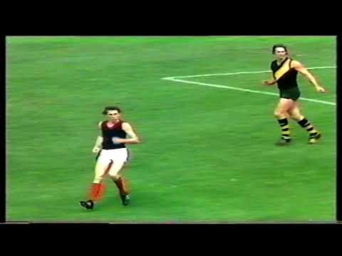 1975 Grand Final Norwood 9.10 64 d Glenelg 7.10 52