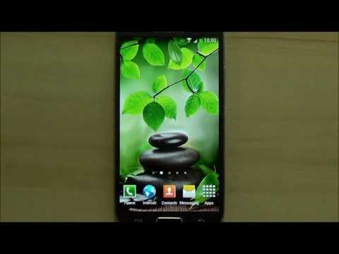 Leaf Live Wallpaper Video