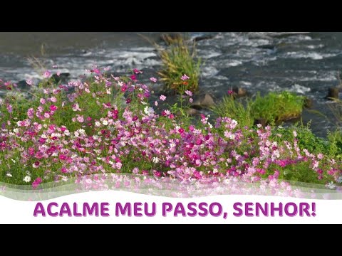 ACALME MEU PASSO SENHOR - AD
