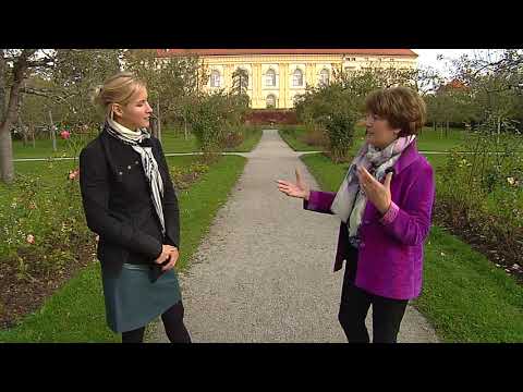Heimatgschichtn - Wittelsbacher Schloss Dachau