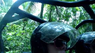 preview picture of video 'buggy jamaica 2010'
