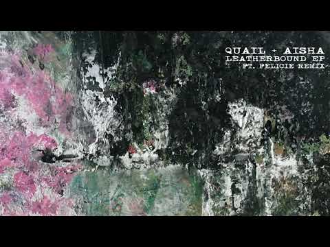 Quail & AISHA - Leatherbound