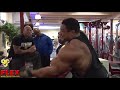 Roelly