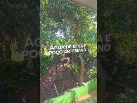 Chácara de 30.000 m² em Tomazina/PR, de Frente para o Asfalto | Fazenda Boa Vista