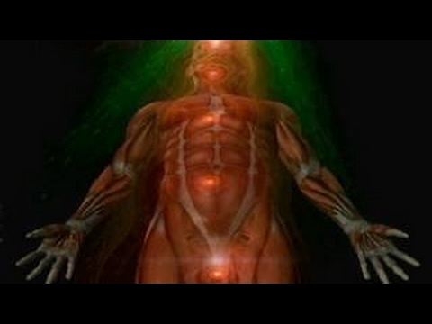 Whole Being Regeneration - Full Body Healing - 3.5 Hz & 7.83 Hz Binaural Beats