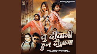 Download lagu Tu Diwani Ham Diwana mp3