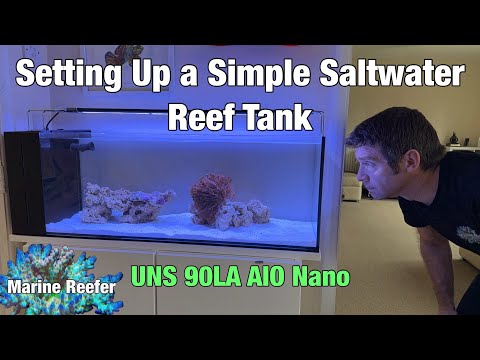 How to Set up a Simple Saltwater Reef Tank for Beginners and Experienced Reefers UNS 90LA AIO Nano