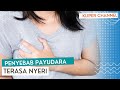 Penyebab Payudara Terasa Nyeri Kliperchannel Kesehatan