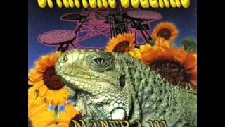 Spiritual Beggars - Inside Charmer