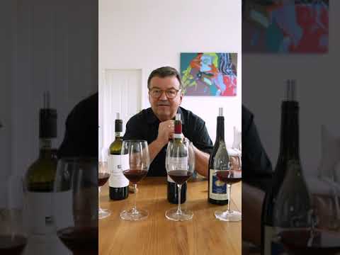 WEIN & CO serviert Ragù di Carne: Weinverkostung