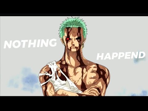 Zoro Nothing Happened