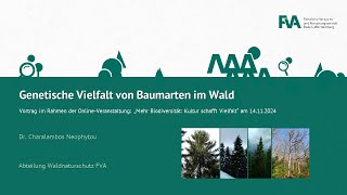 Genetische Vielfalt von Baumarten im Wald (Neophhytou, FVA)