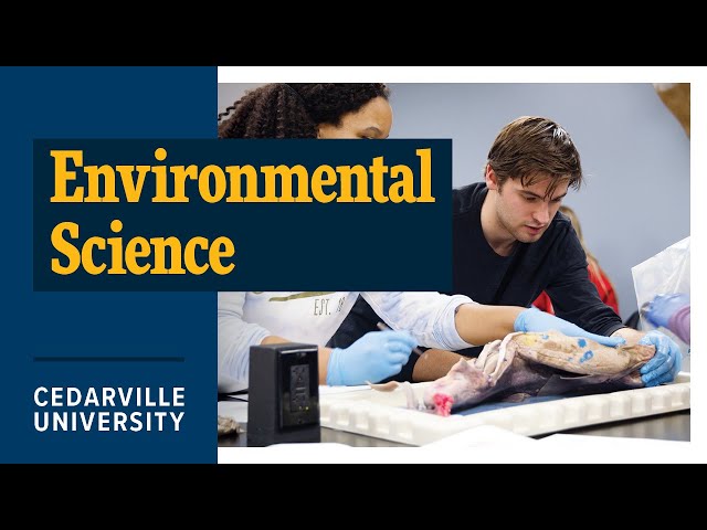 Thumbnail for video titled: Why Study Environmental Science at Cedarville University?