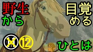 ゼルダの伝説 ブレス オブ ザ ワイルドなのでワイルド（上裸）に実況プレイ⑫/Nintendo Switch