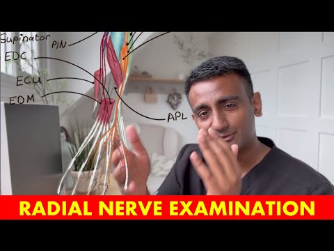 Radial Nerve Exam Made Easy: Peripheral Nerve Specialist’s Step-by-Step Tutorial with Top Tips