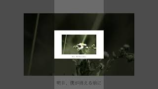 僕なりの夏を作りました #初音ミク #ボカロ #雨良