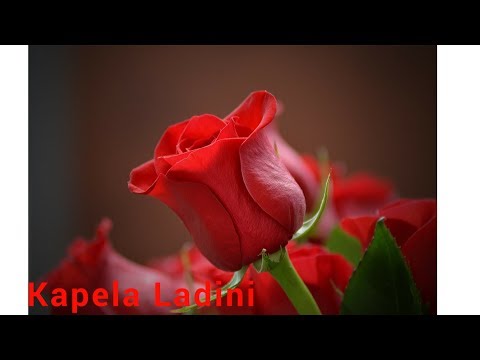 Kapela Ladini - Víš jak se líbíš