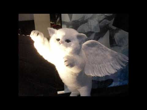 *free convolk x midwest emo type beat x fatse type beat "lungs" p.frevel