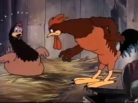 Cock chicken small baby's  Duck baby  Cartoon 2020 Tom and jerry