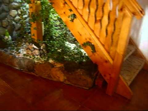 vila de vanzare busteni imobiliare busteni