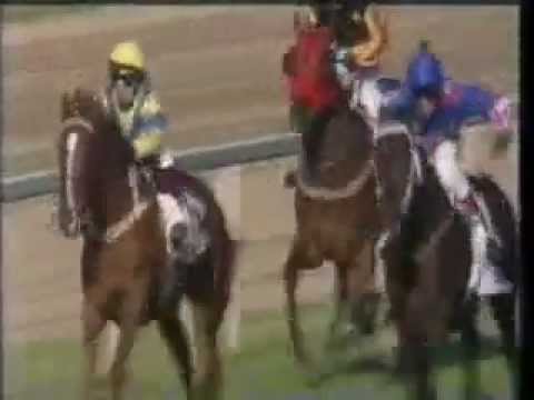 88. Magyar Derby - Hungaryan galopp derby