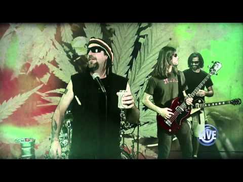 Unkle Matt and the Shitbirdz - Ray Gay