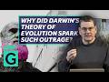 Making A Monkey Out Of Darwin