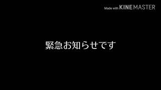 【緊急お知らせ】しばらく活動休止⁉